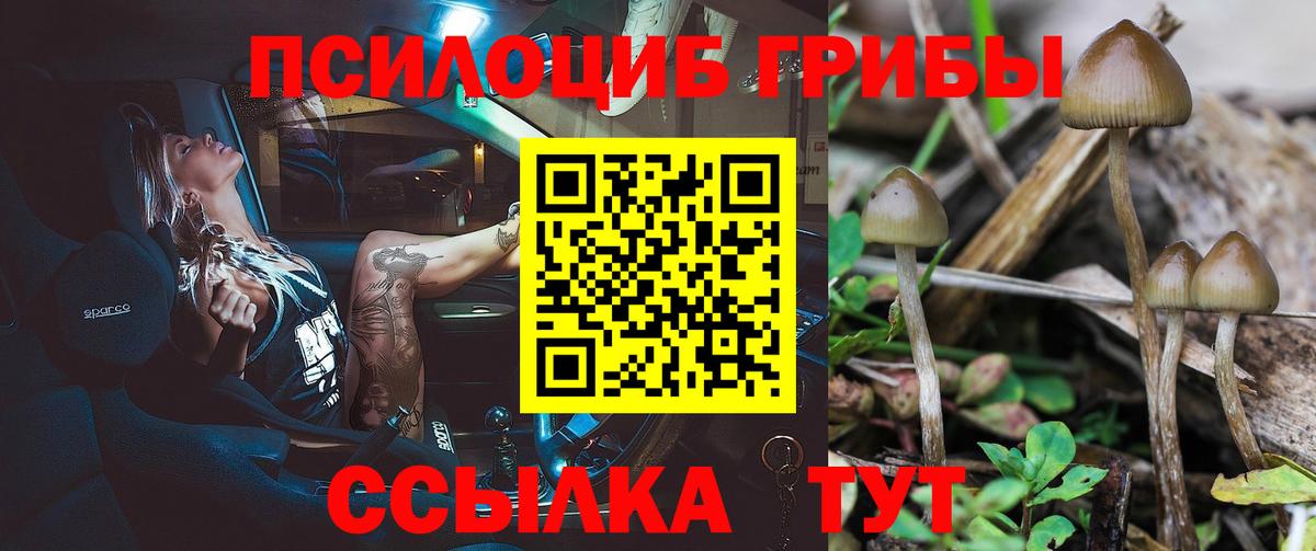 Псилоцибиновые грибы мухоморы  Вход с VPN  Галлюциногенные грибы Psilocybine cubensis  Богданович 